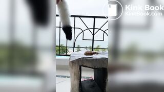SCAT - Sexy girls Pooping