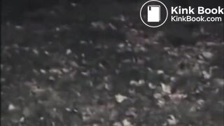 SCAT - Sexy girls Pooping 5