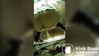 SCAT - Asian girls pooping in the toilet 3