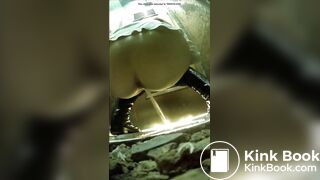 SCAT - Asian girls pooping in the toilet 3