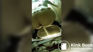 SCAT - Asian girls pooping in the toilet 3