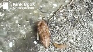 SCAT - Sexy girls Pooping 9