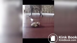 SCAT - Sexy girls Pooping 13