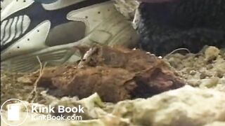 Tight womens asses pooping in public toilets