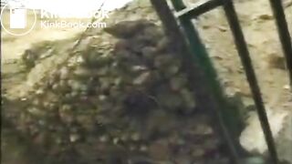 Tight womens asses pooping in public toilets