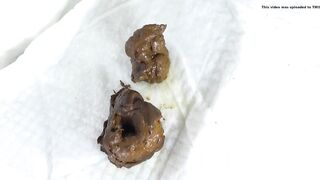 SCAT - Sexy girls Pooping 19