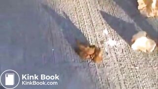 SCAT - Sexy girls Pooping 20