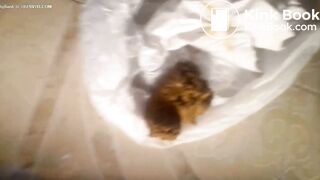 SCAT - Sexy girls Pooping 18