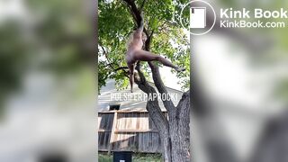 SCAT - Sexy girls Pooping 26