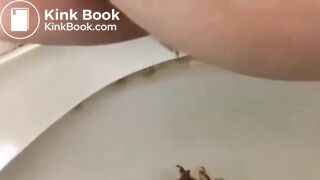 SCAT - Sexy girls Pooping 26