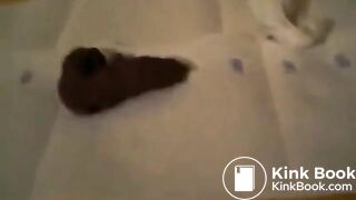 SCAT - Sexy girls Pooping 26