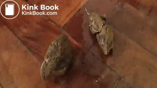 SCAT - Sexy girls Pooping 35