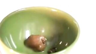 SCAT - Sexy girls Pooping 29