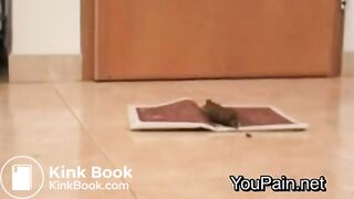 SCAT - Sexy girls Pooping 29