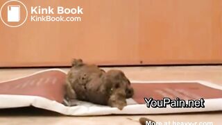 SCAT - Sexy girls Pooping 29