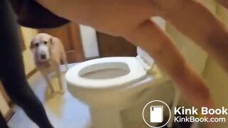 SCAT - Sexy girls Pooping 34