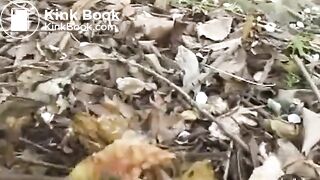 SCAT - Sexy girls Pooping 33