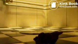 SCAT - Sexy girls Pooping 34