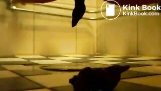 SCAT - Sexy girls Pooping 34