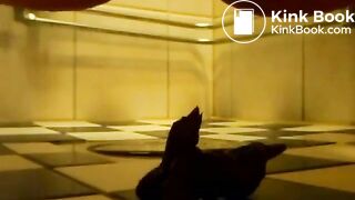 SCAT - Sexy girls Pooping 34