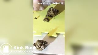 SCAT - Sexy girls Pooping 36