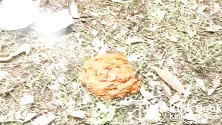 SCAT - Sexy girls Pooping 44