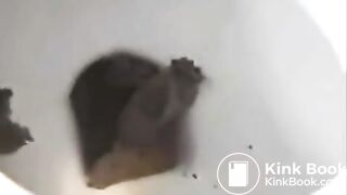 SCAT - Sexy girls Pooping 36