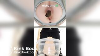 Honey on potty chair