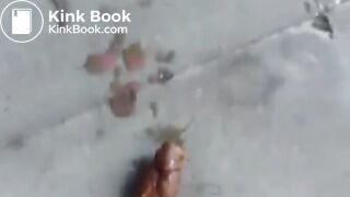SCAT - Sexy girls Pooping 45