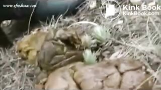 SCAT - Sexy girls Pooping 44