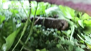 SCAT - Sexy girls Pooping 43