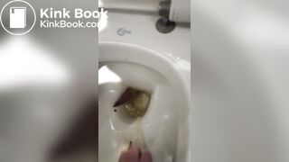 Shit