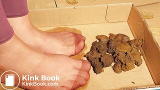 sexy chinese feet full of dog scat in pantyhose 4