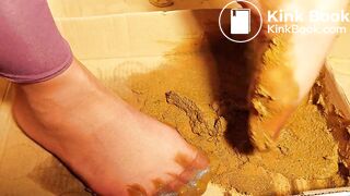 sexy chinese feet full of dog scat in pantyhose 4