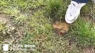 SCAT - Sexy girls Pooping 44