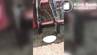 Valentina shitting scat tranny pooping in dish