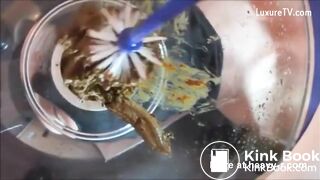 Feed slave