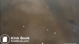 Shitting Over On The Bridge