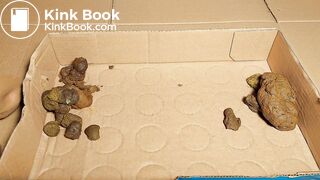 walmart nylon socks test in very big dog shit