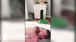shit pig