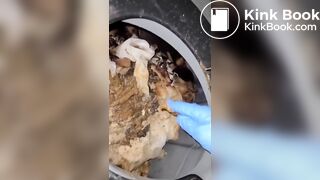 Porta potty scat slut
