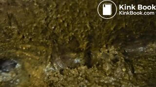 Gfs Dirty asshole on display