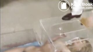 Scat in the afternoon