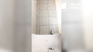 Nigger sluts n nigger tranny freaks n niggerscat