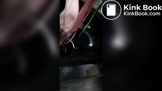 Pig whore running amok in public
