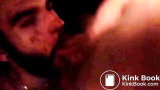 toilet pig eats and drinks