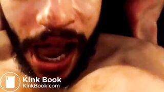 toilet pig eats and drinks