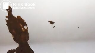 Human Toilet inquire within