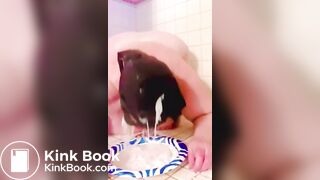 HUNGRY HOGS AND PATHETIC PIGS scat collection