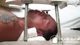 all purpose shit pig